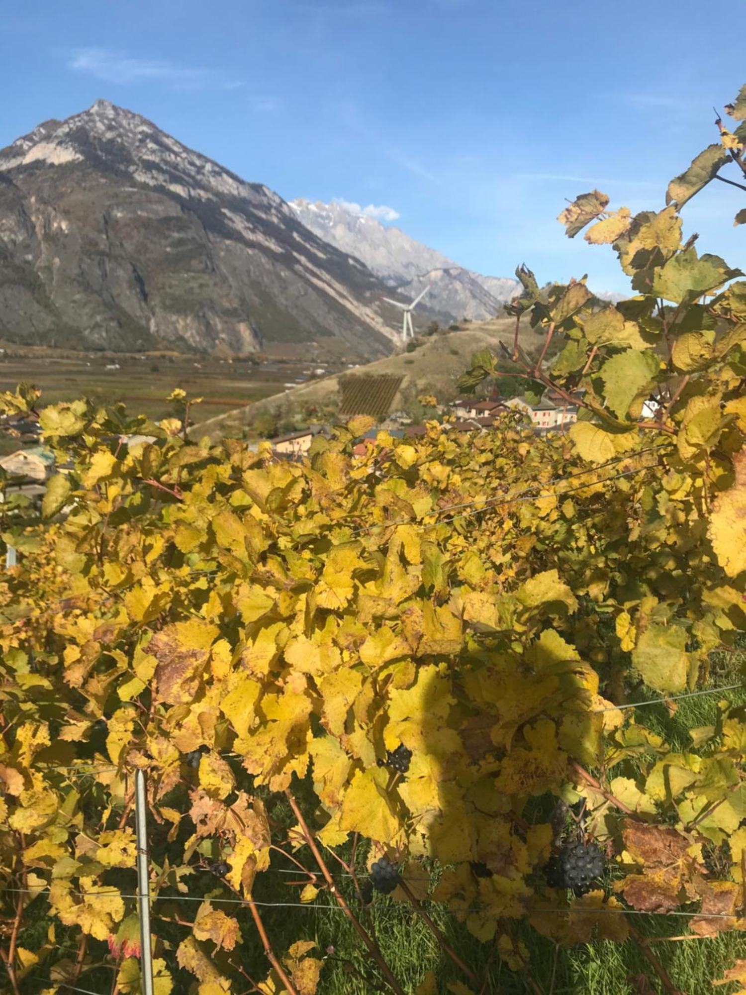 Studio Martigny Taou Екстериор снимка